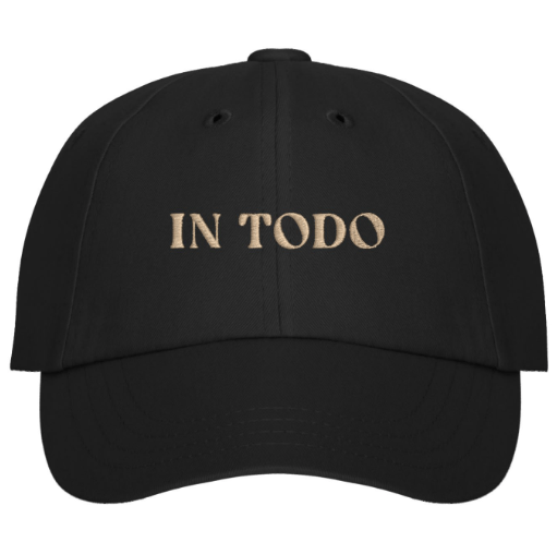 In Todo Baseball Hat